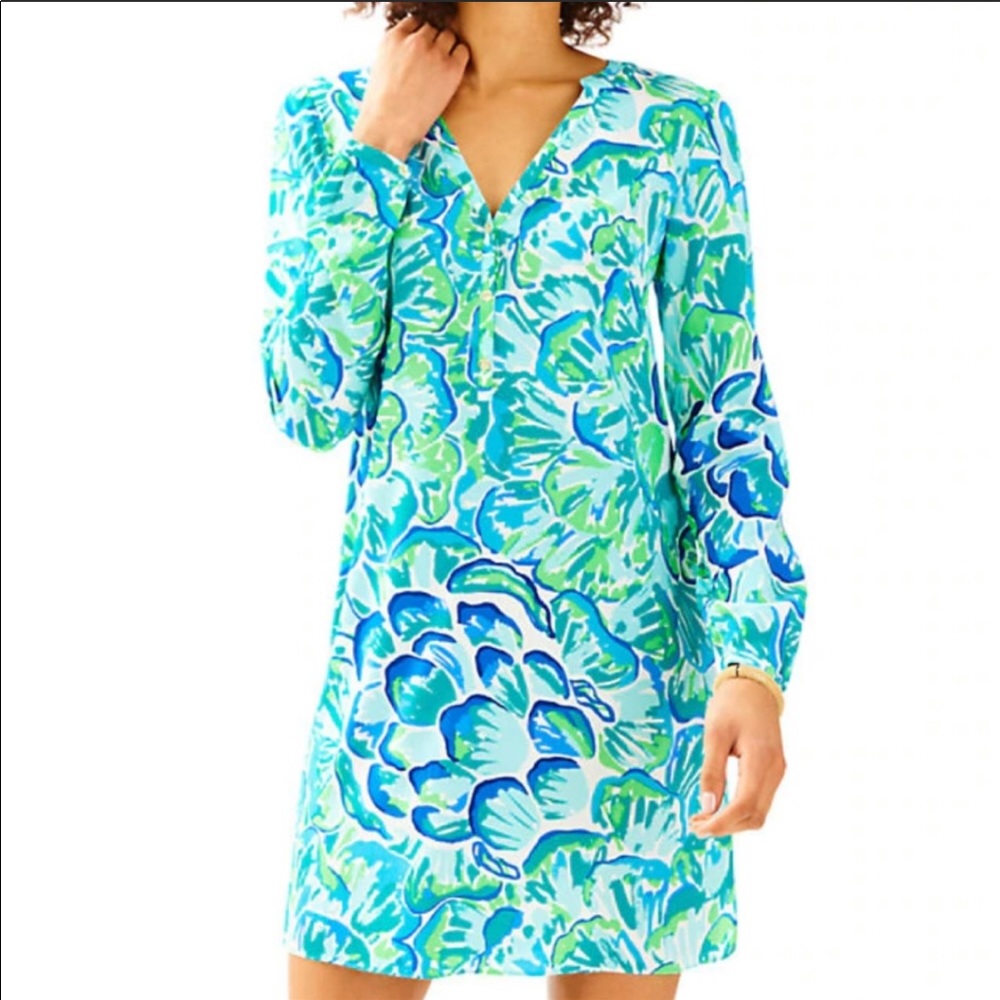BNWOT Blue green agate delphine silk tunic dress